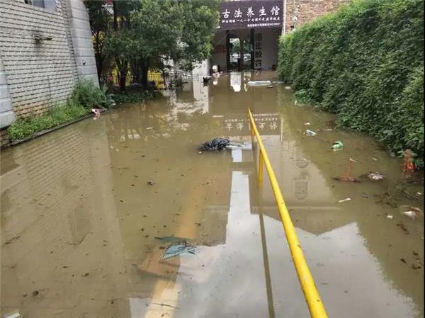 美车堂,新能源车下乡，途虎双星