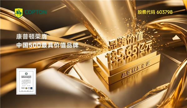 市场内卷、盈利艰难、新能源分流,康普顿如何凭借“长期主义”穿越周期? 市场内卷、盈利艰难、新能源分流,康普顿如何凭借“长期主义”穿越周期?