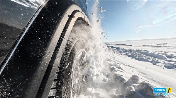 传承卓越,共驭新程——2026倍适登经销商大会暨冰雪驾驶体验成功举办 传承卓越,共驭新程——2026倍适登经销商大会暨冰雪驾驶体验成功举办