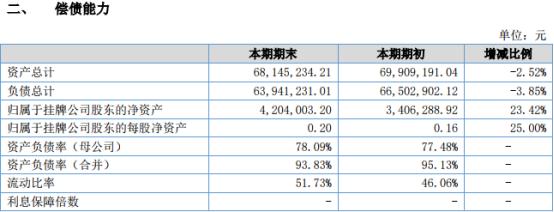 2018年中财报