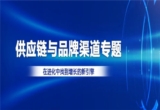 汽车后市场,供应链
